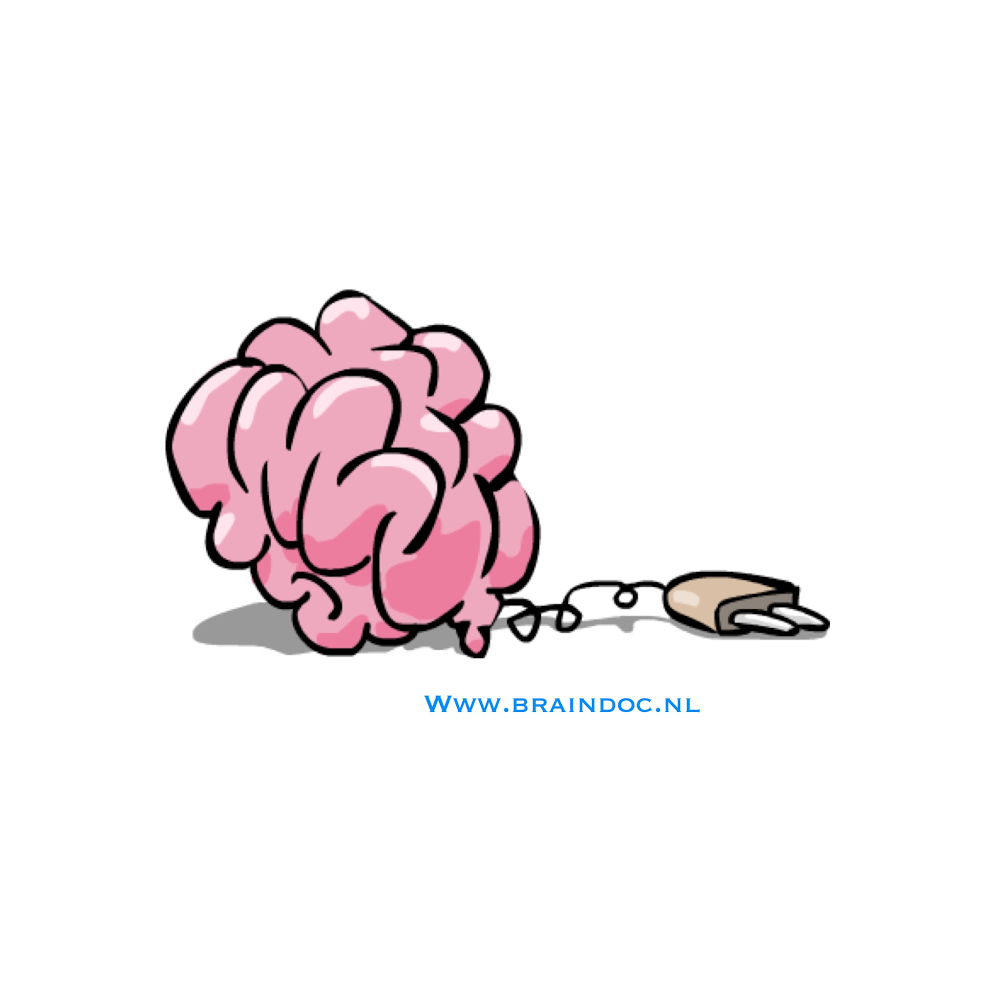 Braindoc Centrum voor Neurofeedback photo 2