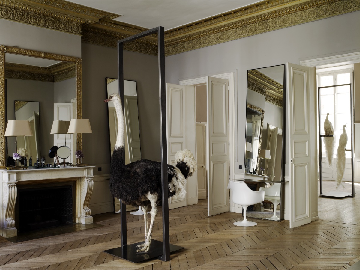 David Mallett salon in Paris